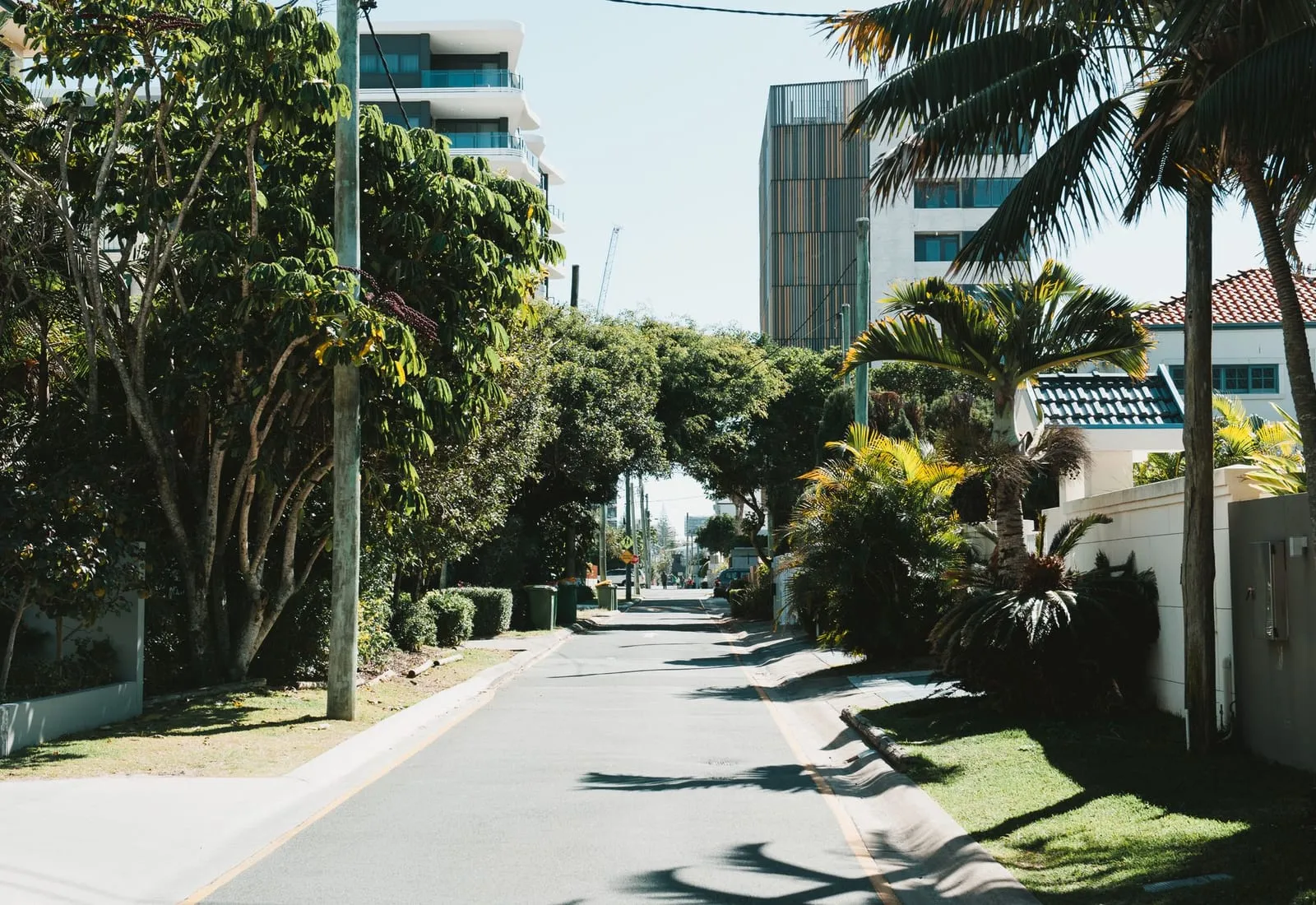 Leafy Gold Coast street with palms